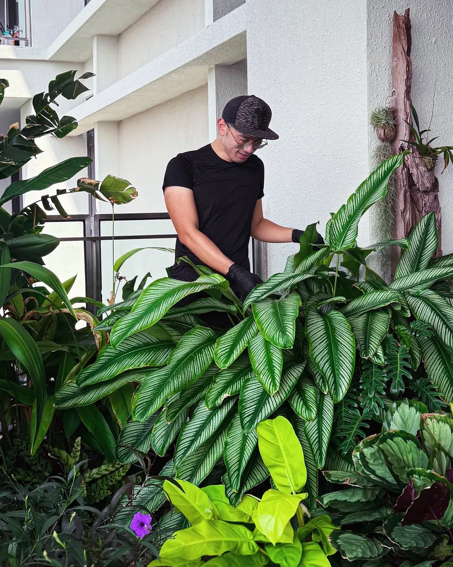 One of the studio founders working among potted plants.