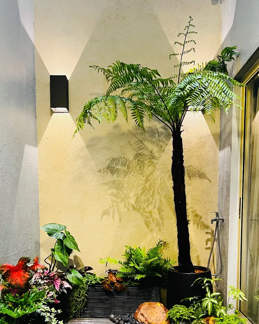 Planting and interior work from the studio, project photograph 2.