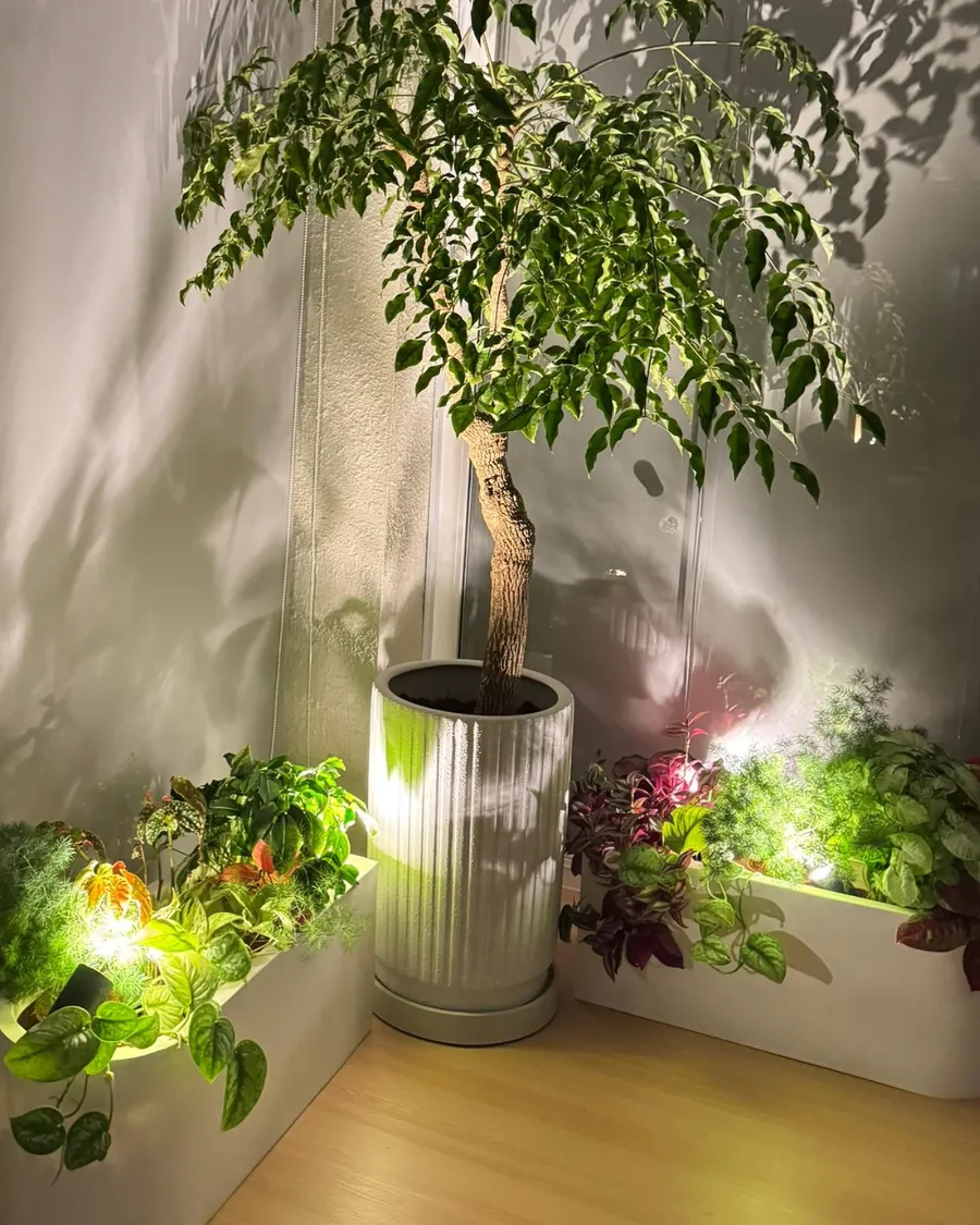 Planting and interior work from the studio, project photograph 4.