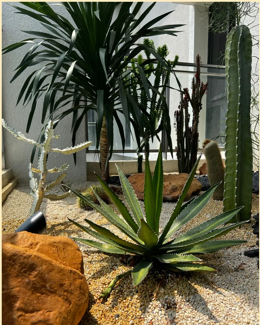 Planting and interior work from the studio, project photograph 5.